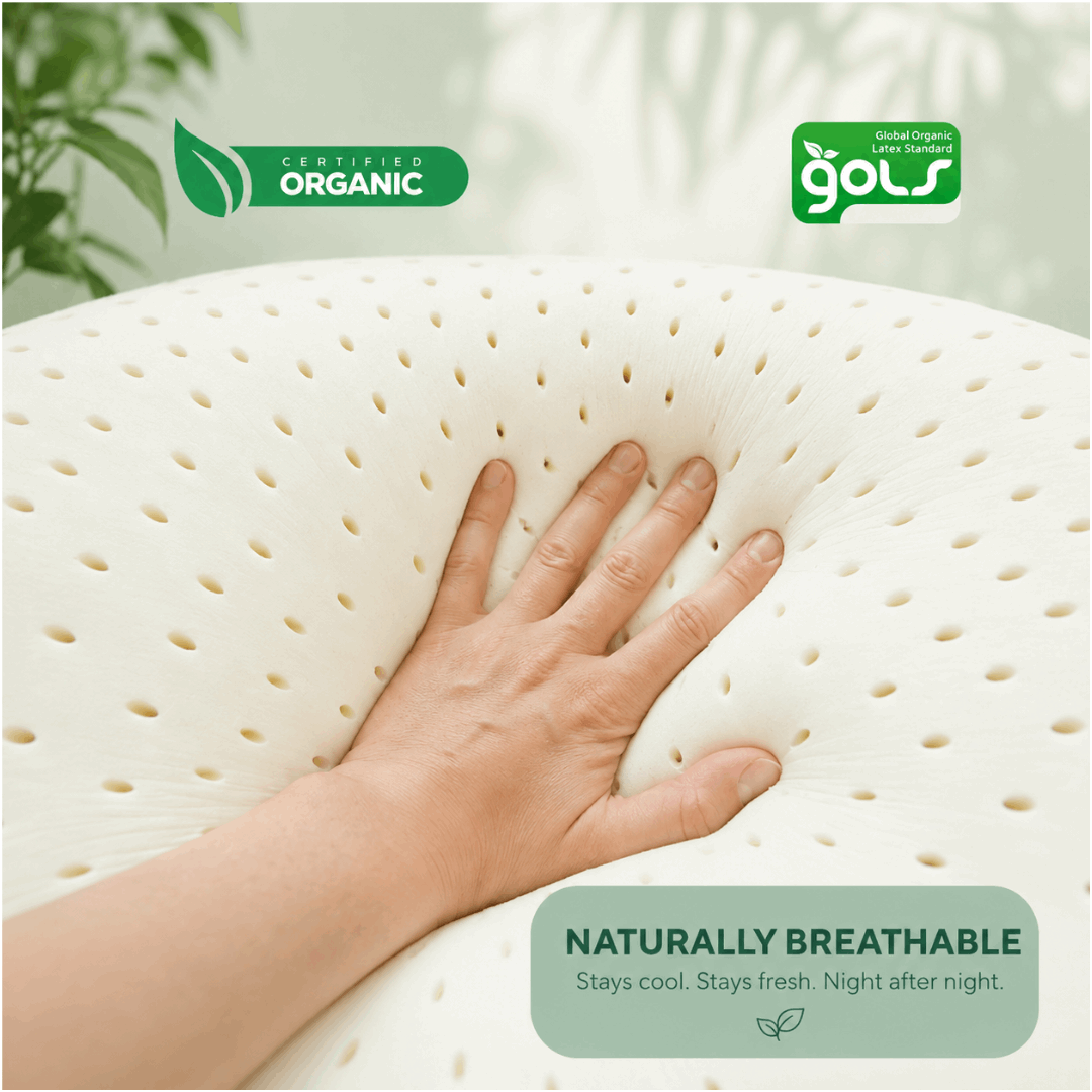 SOVE Deep Sleep Organic Latex Pillow breathable latex construction