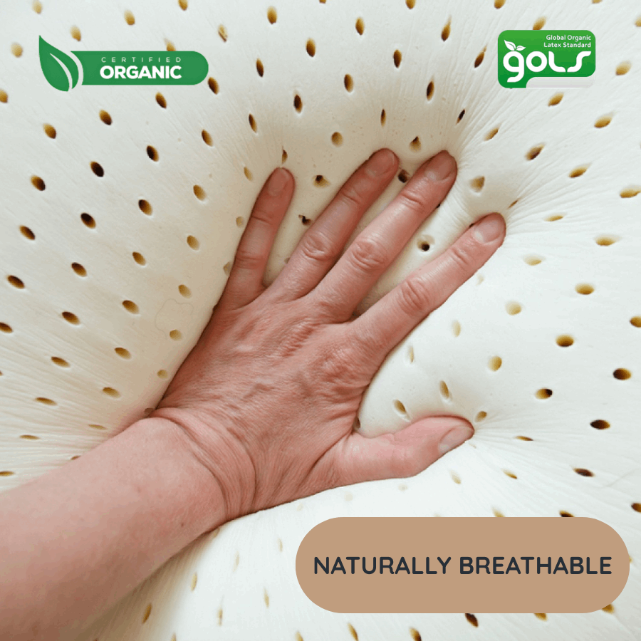 Deep Sleep Organic Latex Pillow - GOLS Certified