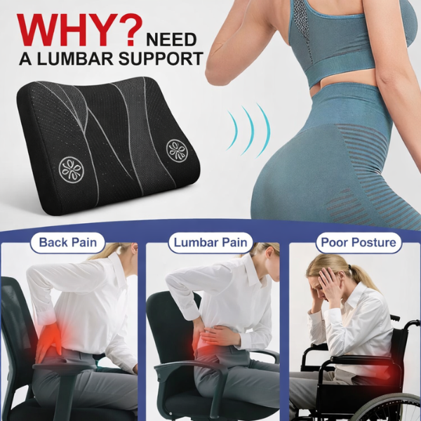 Lumbar Seat Support Cushion Sove